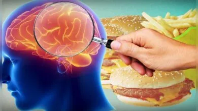 مختل شدن عملکرد مغز با مصرف فست فودها