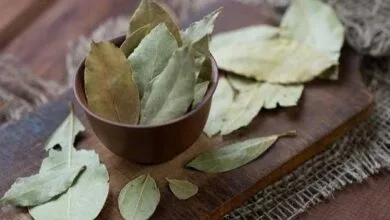 همسو پزشکی