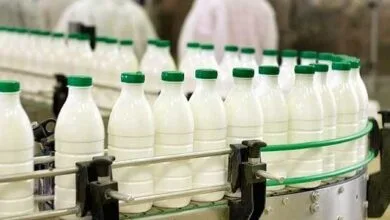 افزایش قد با یک لیوان شیر روزانه!