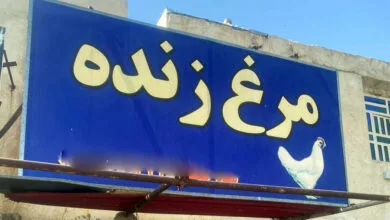 همسو پزشکی