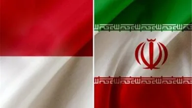 همکاریهای ایران و اندونزی در زمینههای درمانی و دارو گسترش مییابد همکاریهای ایران و اندونزی در زمینههای درمانی و دارو گسترش مییابد