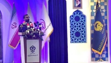 گودرزی: مجلس تمام قد پشتوانه مسئله جمعیت است