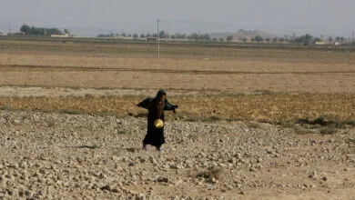 همسو پزشکی