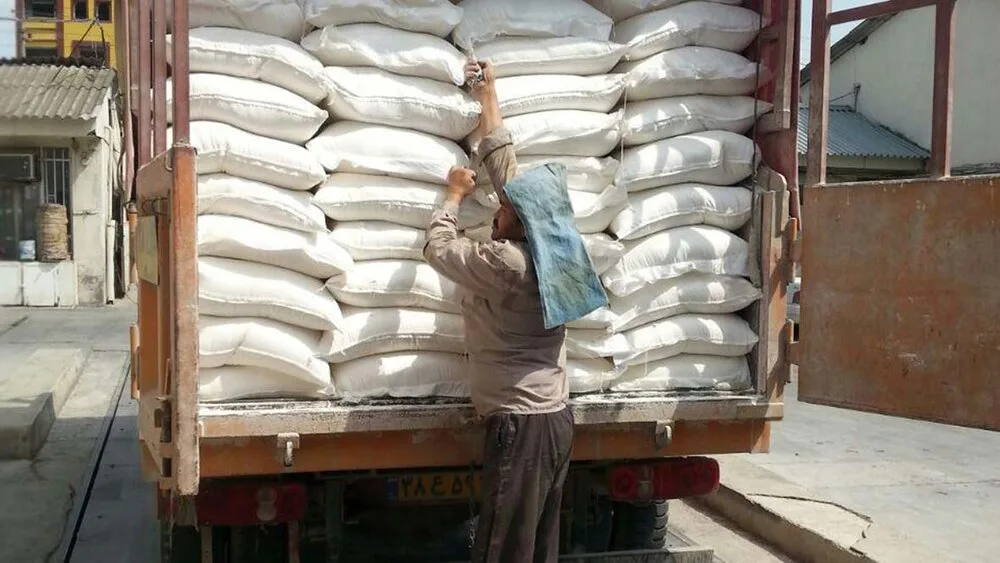 همسو پزشکی
