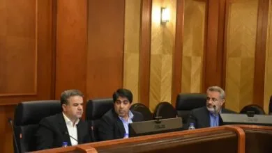 بررسی توانمندیها، مسائل ، مشکلات و چالشهای صنوف استان فارس بررسی توانمندیها، مسائل ، مشکلات و چالشهای صنوف استان فارس