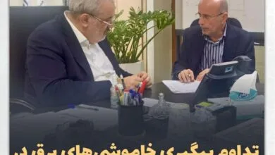 تداوم پیگیری خاموشیهای برق در دیدار دکتر موسوی با وزیر نیرو تداوم پیگیری خاموشیهای برق در دیدار دکتر موسوی با وزیر نیرو