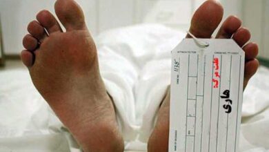 بانوی شفتی در ابتلا به هاری در گذشت بانوی شفتی در ابتلا به هاری در گذشت