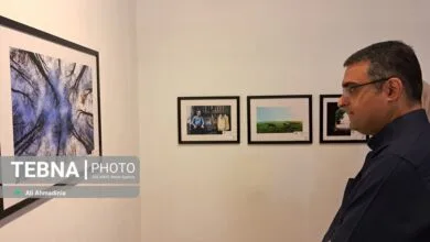 95466.jpg