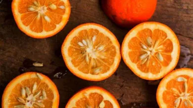 میوهای با هزار خاصیت! میوهای با هزار خاصیت!
