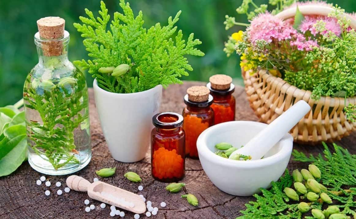گیاهان دارویی و 10 خاصیت باور نکردنی آن! | عطاری آنلاین محقق