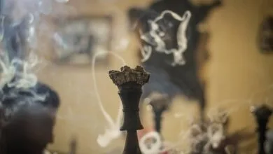 همسو پزشکی