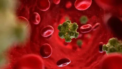 انتقال HPV از استخر و دستشویی عمومی واقعیت دارد؟