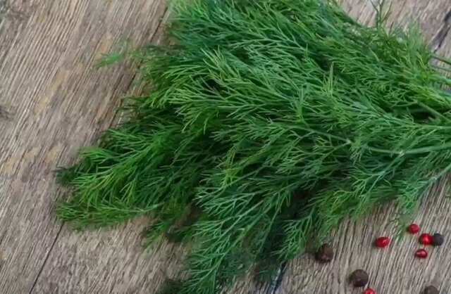 درمان طبیعی نفخ، بی‌خوابی و کلسترول