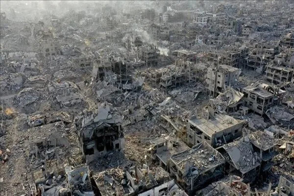 5531728.jpg