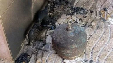 همسو پزشکی