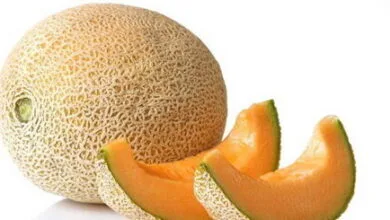 آیا «ملون» تراریخته و مضر برای سلامتی است؟