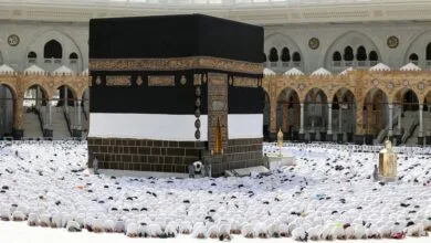 همسو پزشکی