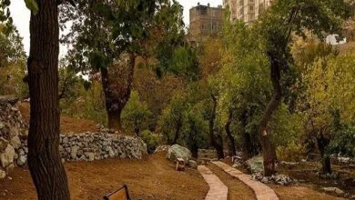 بهره‌برداری از فاز دوم روددره فرحزاد تا ۲ ماه آینده
