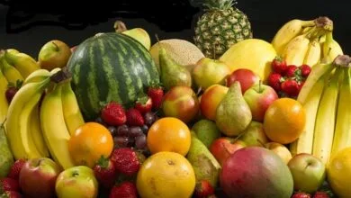 همسو پزشکی