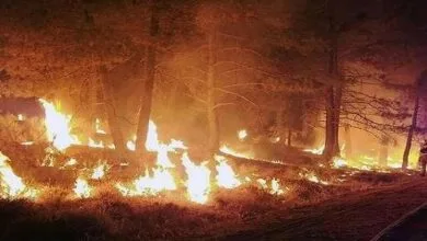 آتش‌سوزی‌های جنگلی خطر آنفلوانزا و کووید۱۹ را افزایش می دهند