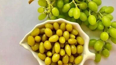 همسو پزشکی