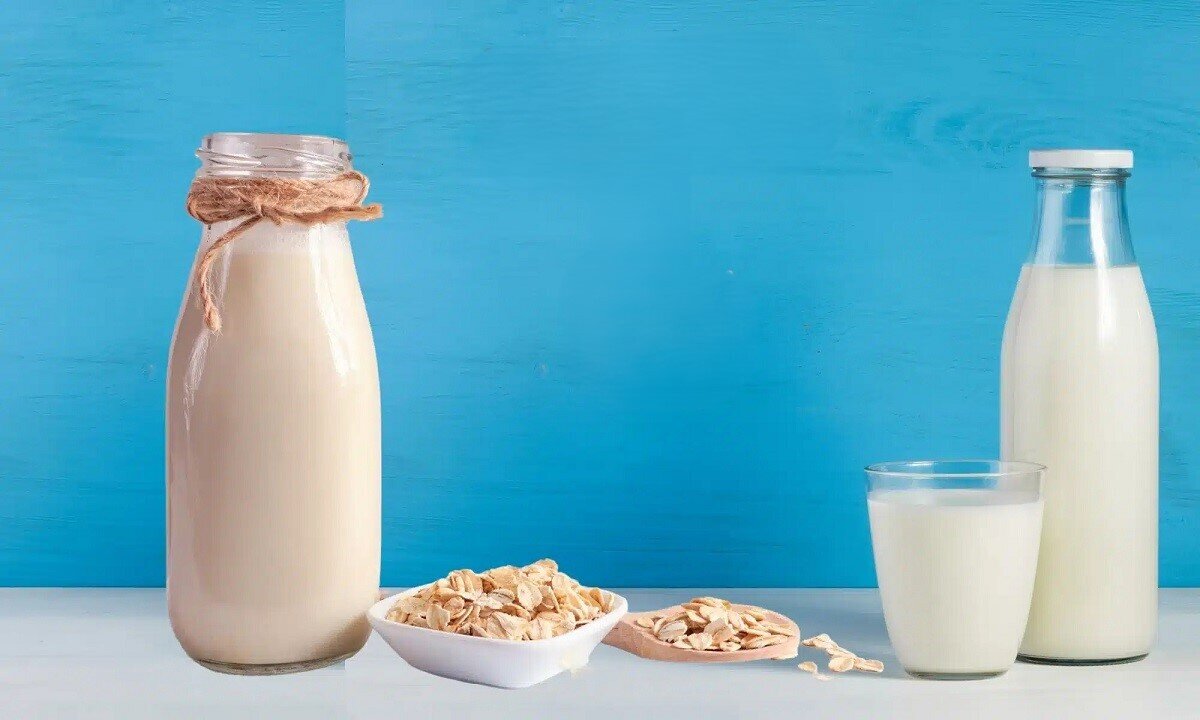 شیر جو دوسر  سالم‌تر است یا شیر گاو؟