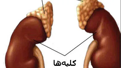 همسو پزشکی