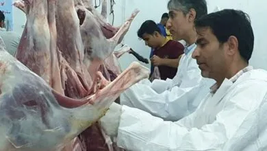 ذبح دام فقط در مراکز مجاز ممکن است