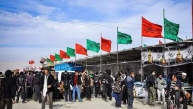 همسو پزشکی