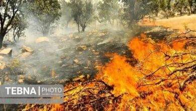 آتشسوزیهای جنگلی خطر آنفلوانزا و کووید۱۹ را افزایش می دهند آتشسوزیهای جنگلی خطر آنفلوانزا و کووید۱۹ را افزایش می دهند
