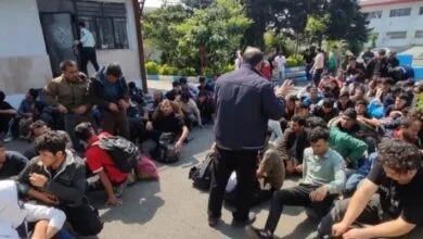 دستگیری 221 نفر از اتباع غیر مجاز در ساری