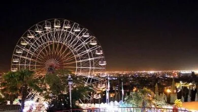 95816.jpg