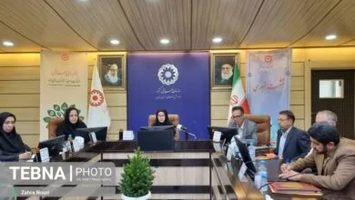 ۳۰ طرح اشتغال زایی در هفته بهزیستی افتتاح می شود ۳۰ طرح اشتغال زایی در هفته بهزیستی افتتاح می شود