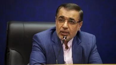 گودرزی: ظرفیت های سرمایه گذاری در فارس مغفول مانده است