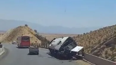 95903.jpg