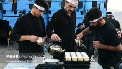 همسو پزشکی