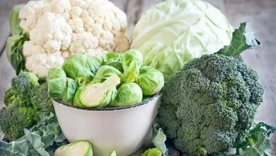 فیبر بخور، بیشتر انرژی بگیر!