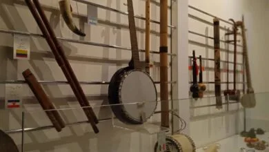 راهکار جذاب حفظ هوشیاری مغز در پیری راهکار جذاب حفظ هوشیاری مغز در پیری