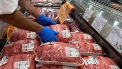 توزیع ۲۶۲ تن گوشت قرمز و مرغ منجمد در کردستان